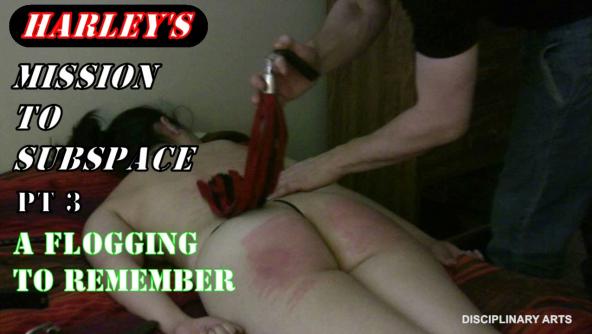 Harley's Mission to Subspace Pt 3: A Flogging to Remember - MP4