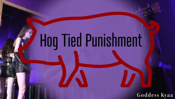 Hog Tied Punishment