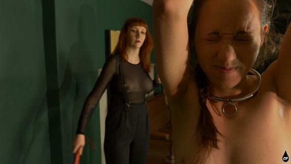 A New Year's Whipping - WMV