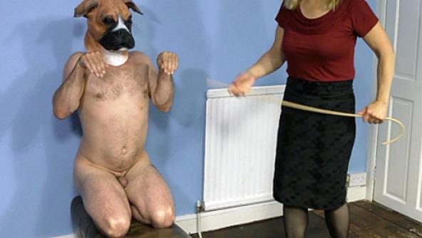 Bruno The Boxer 4 - WMV