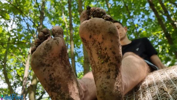 Milos Forest Barefoot Worship 4K