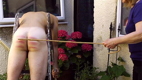 A Sharp Shock in the Garden - MP4